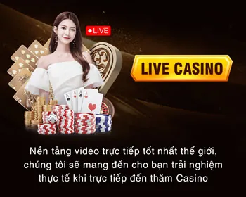 Đa dạng loại hình